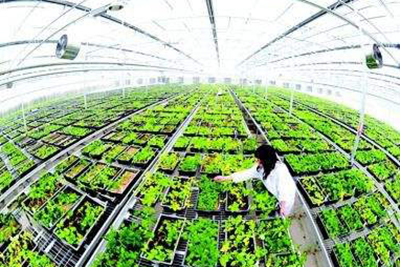 Индукционный парогенератор