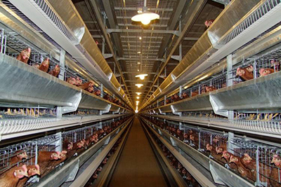 Индукционный парогенератор