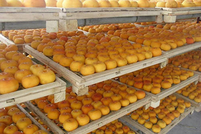 Индукционный парогенератор