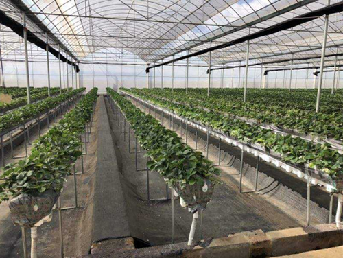 Генератор горячего воздуха с индукционным нагревом