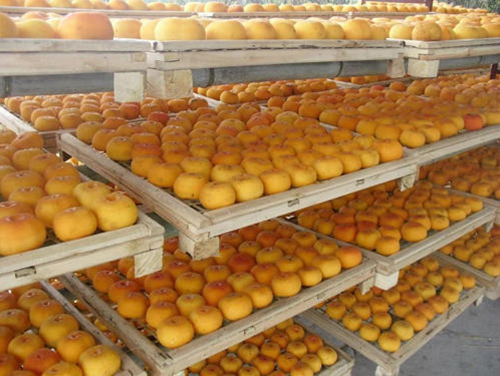 Генератор горячего воздуха с индукционным нагревом